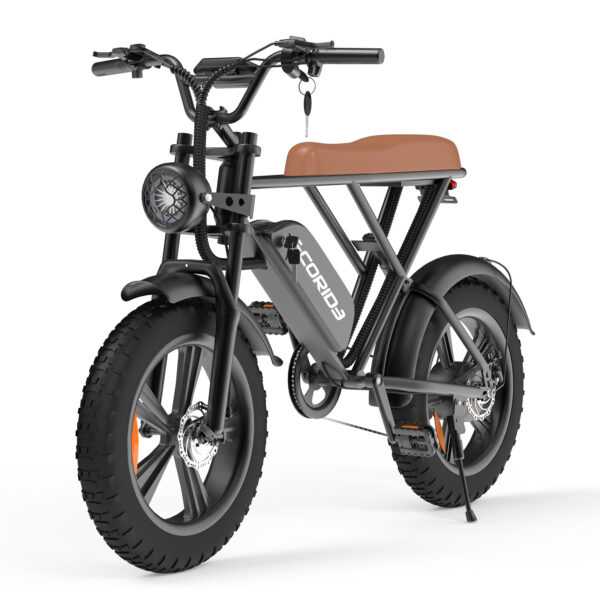 Bicyclette Électrique Ecoride Noir